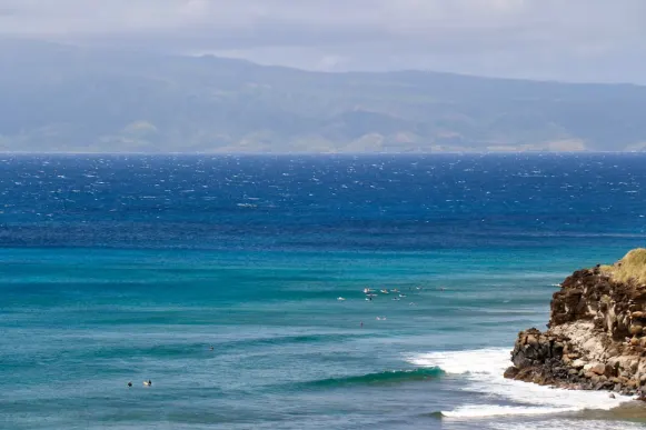 カゾンビ カジノ サポート